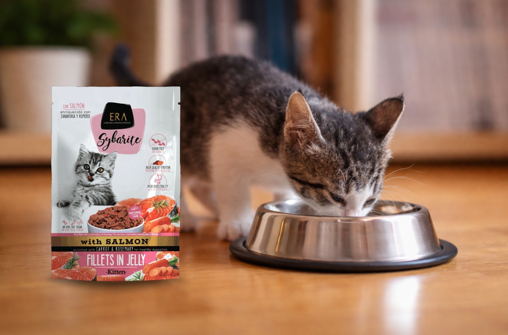 Kissanpentu ja ERA ruoka