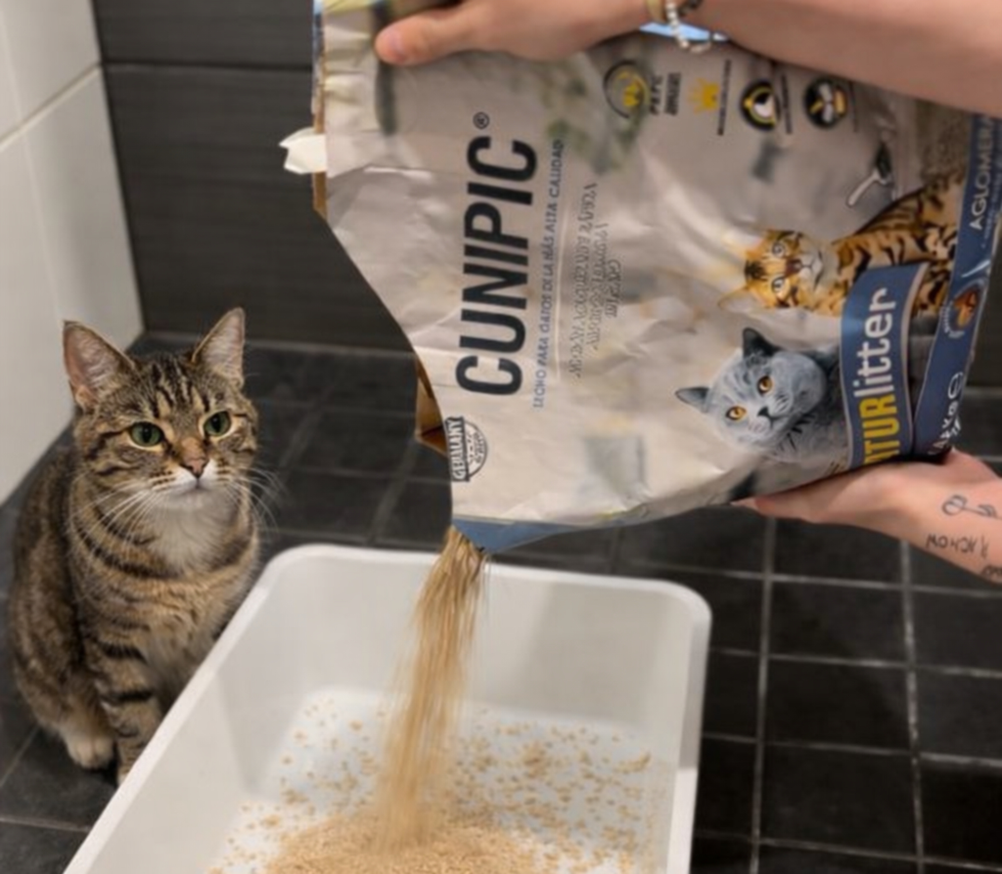 CUNIPIC Naturlitter ja kissa