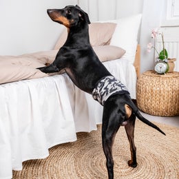 FINNERO JustinCase Camo &ndash; Urosvy&ouml; koiralle, koko S