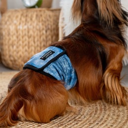 FINNERO JustinCase Denim &ndash; Urosvy&ouml; koiralle, koko S