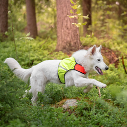 FINNERO UKKO liivi L