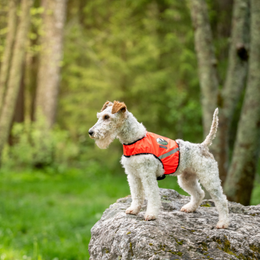 FINNERO UKKO liivi XS