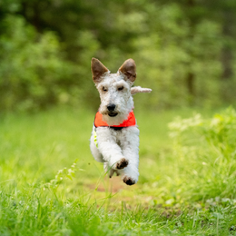 FINNERO UKKO liivi XS