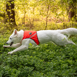 FINNERO UKKO liivi L