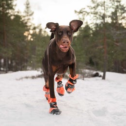 FINNERO HALLA Heijastavat fleece tossut koiralle &ndash; oranssi, koko XL