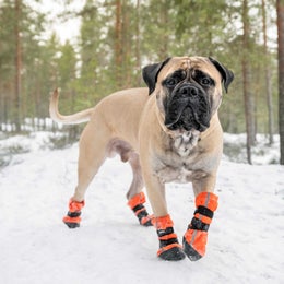 FINNERO HALLA Heijastavat fleece tossut koiralle &ndash; oranssi, koko XL