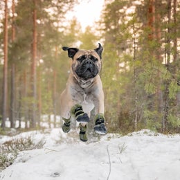 FINNERO HALLA Heijastavat fleece tossut koiralle &ndash; vihre&auml;, koko XL