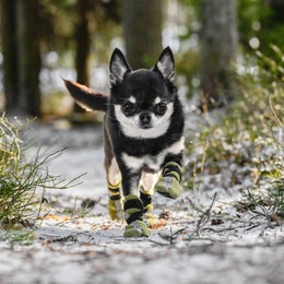 FINNERO HALLA Heijastavat fleece tossut koiralle &ndash; vihre&auml;, koko XXS